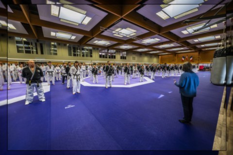 Hapkido JJK Ingré