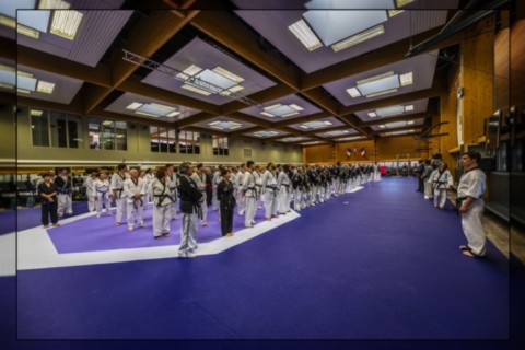 Hapkido JJK Ingré